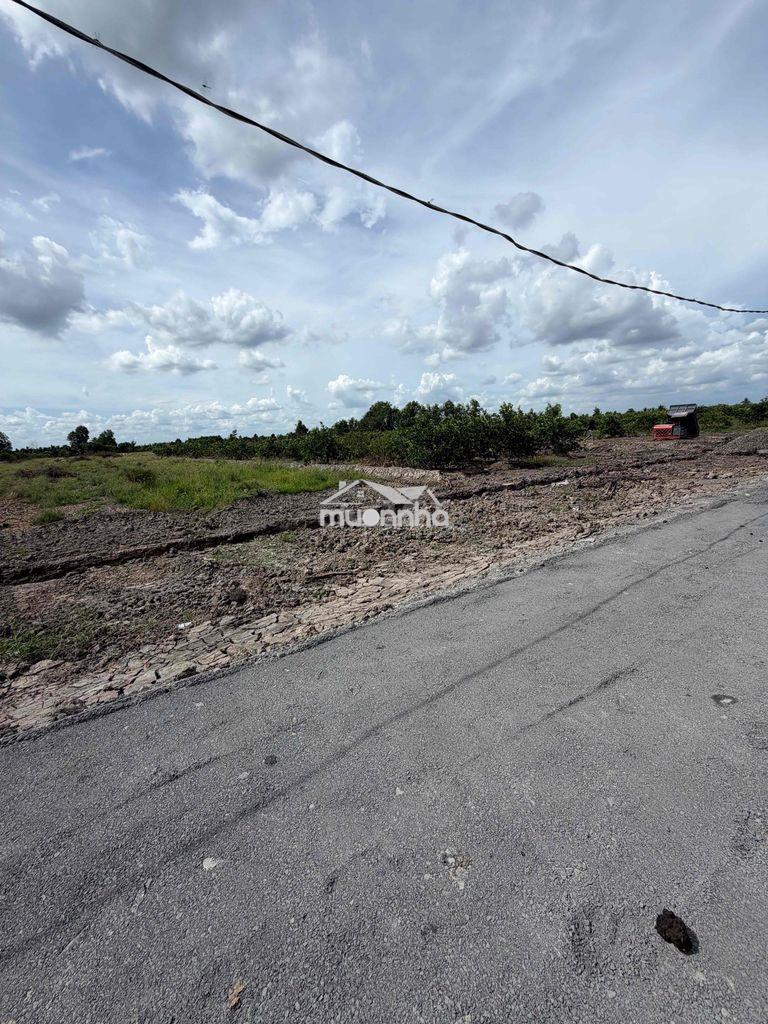 500m2 đất vườn trồng chanh ,thạnh hoà ,bến lức long an ,kế bên tphcm - 4