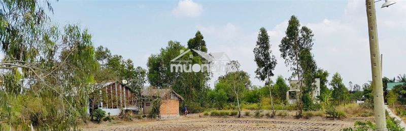 Bán đất vườn chính chủ giá rẻ