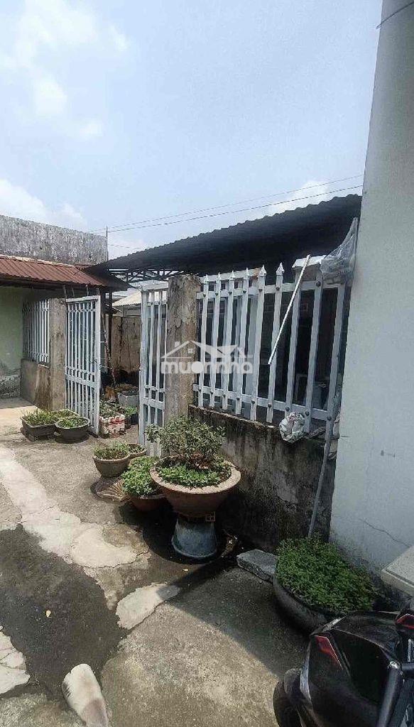 Bán nhà sát mặt tiền-241m2 full thổ-chỉ 4,4 tỷ tl tân hiệp- hóc môn - 3