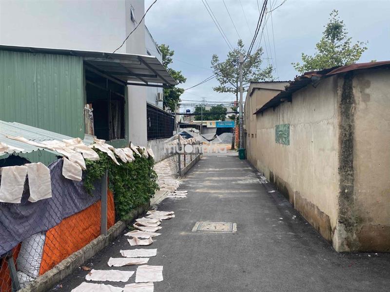 Bán đất thổ cư chính chủ