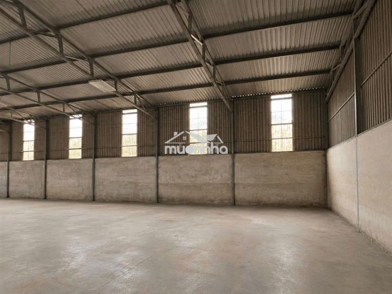 Cho thuê kho đào sư tích, 1000m² kho + 300m² sân – có văn phòng