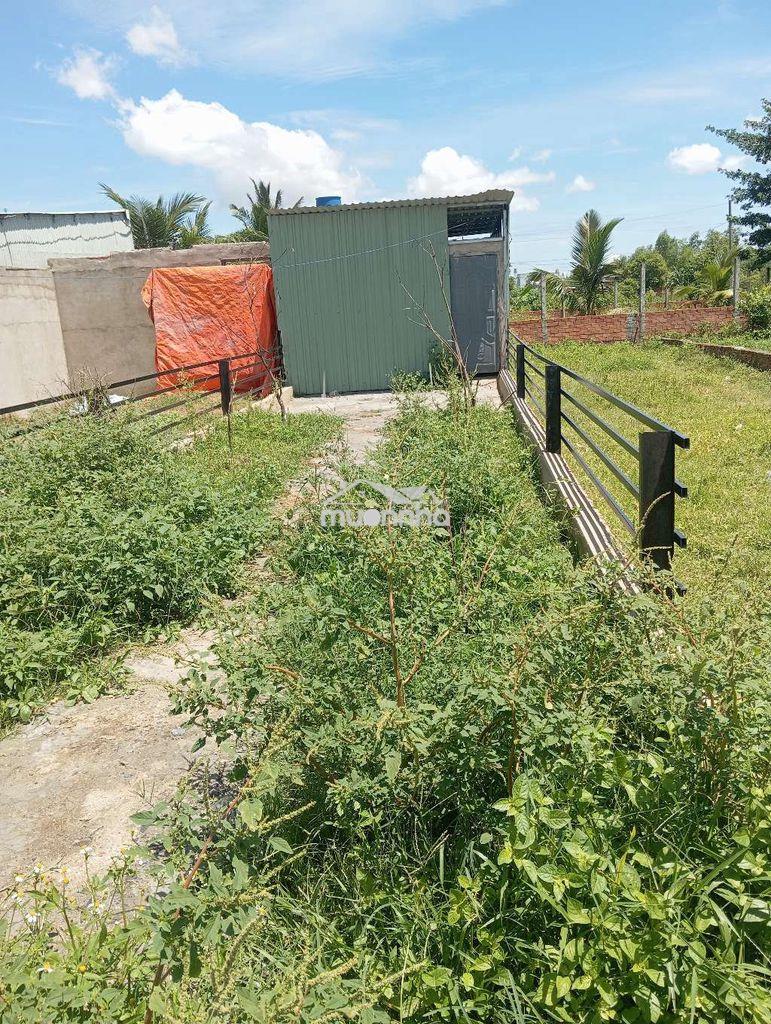 Đất giáp hóc môn 4x20 80m2 giá 250 triệu - 2