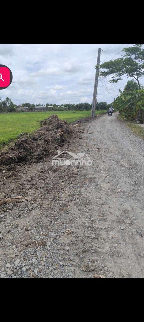 5 nền ngang 10 dài 50 xã đức hoà tây ninh - 3