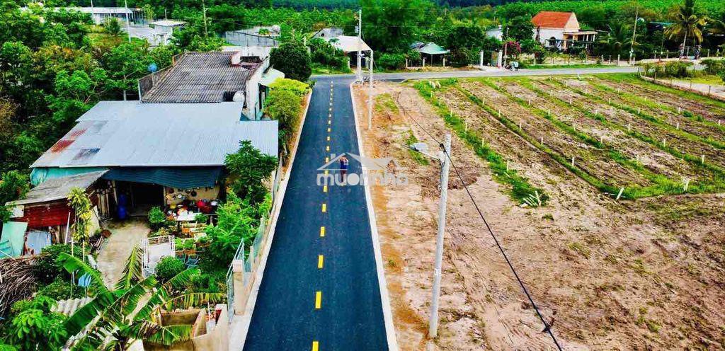 Đất vàng sinh lời, đầu tư vững tương lai, pháp lý chuẩn - 3