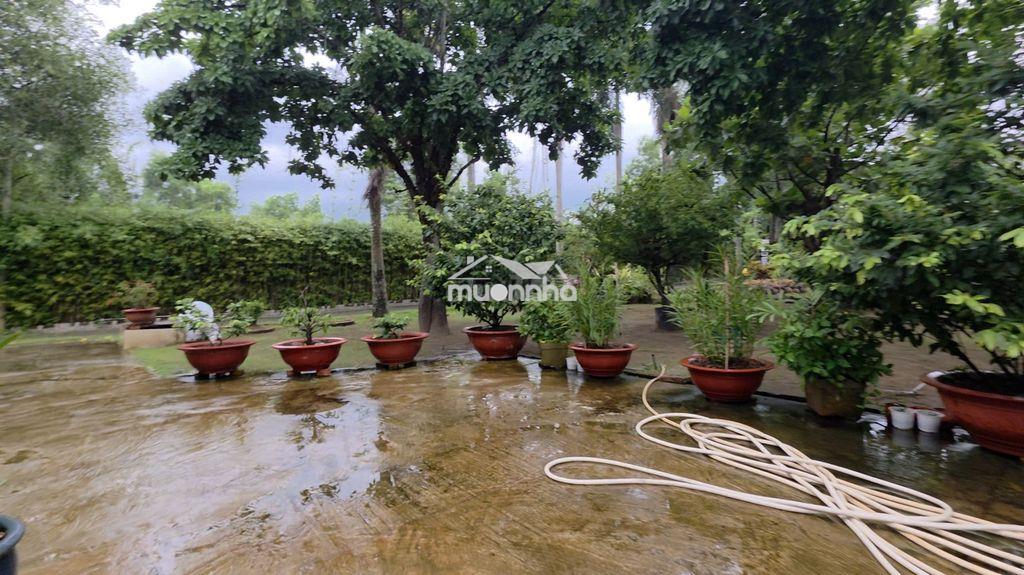 Siêu phẩm nhà sàn sân vườn - 4
