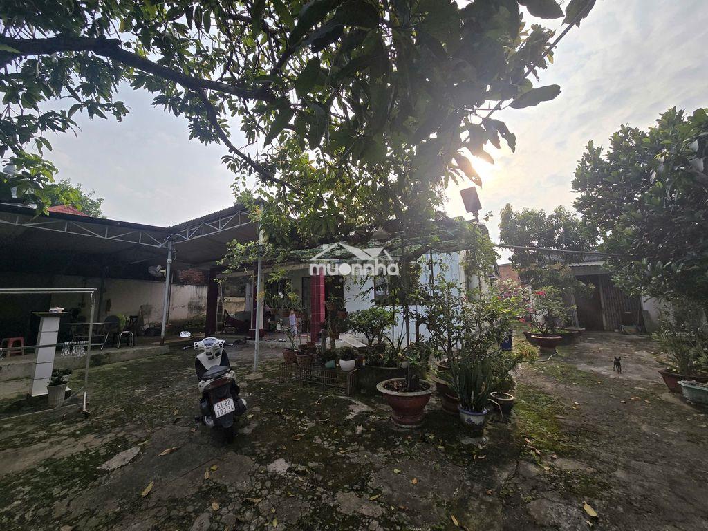 Bán đất chính chủ . - 3
