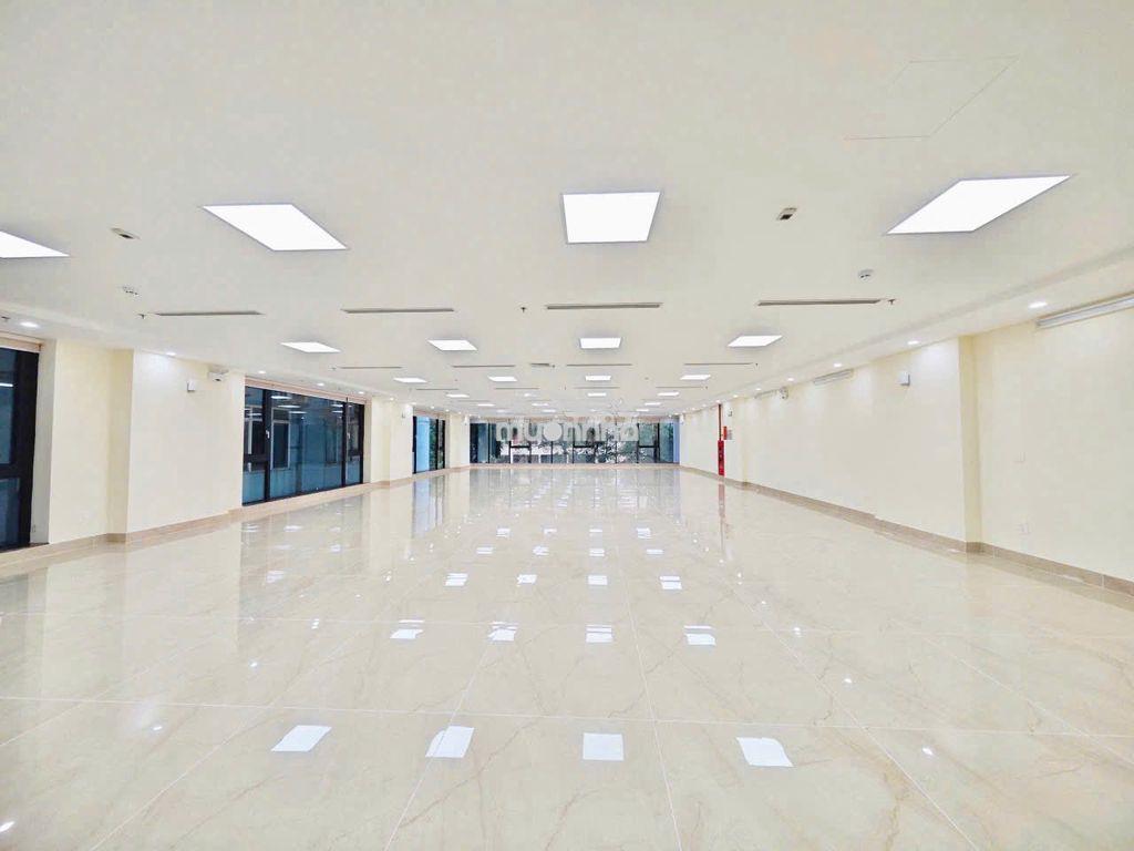 Cho thuê vp cao cấp thanh xuân 240m2 thông sàn, chuyên nghiệp hiện đại - 3
