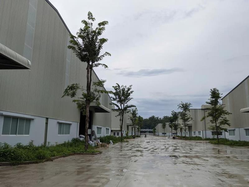 Cho thuê kho xưởng tổng dt 25.000m2 (kho 15.000m2 + sân 5000m2 + vp 200m2) - pccc tự động