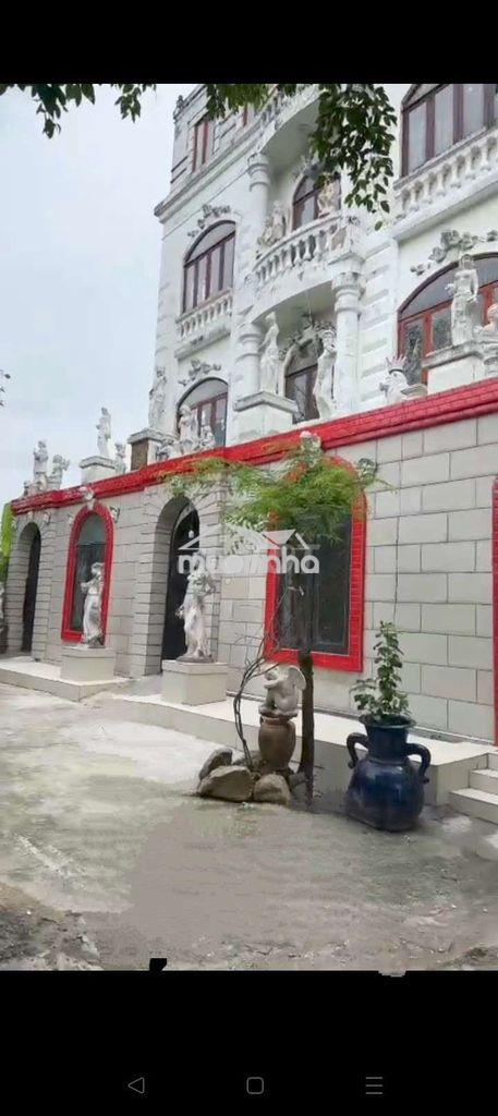 Phòng mới đẹp, khu biệt thự, xe hơi vao tận cổng, giờ giấc tự do, rẽ