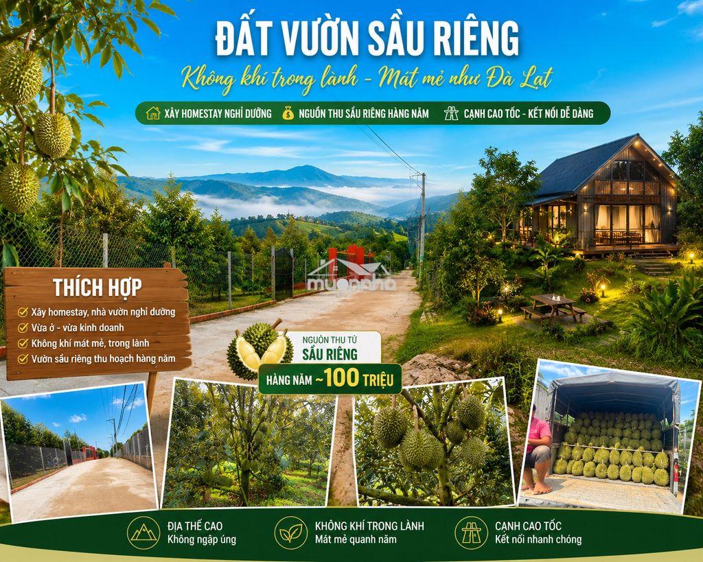 Mình chính chủ ngộp ngân hàng cần bán - 4