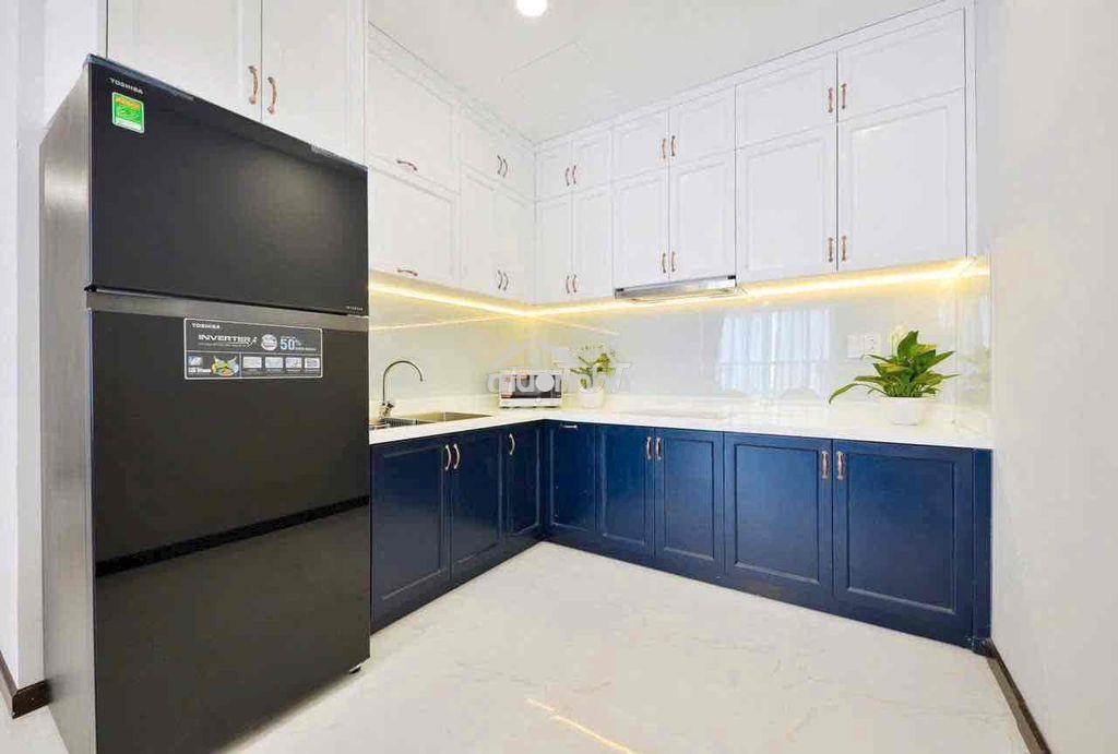 Cho thuê căn hộ 2pn 2wc. chung cư the botanica. phường 2 tân bình - 2