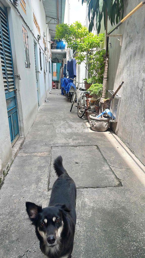 Nhà trọ gần huflit giá 1.5tr - 3