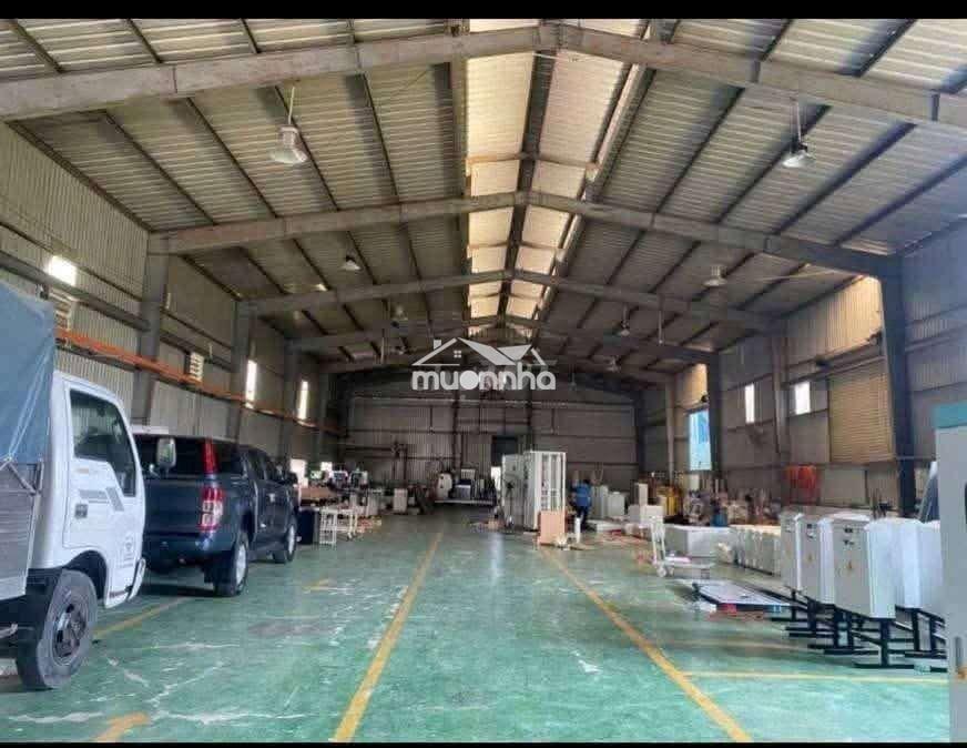 Cho thuê nhà xưởng 1000m2 giá thuê 50 triệu/ tháng - 3