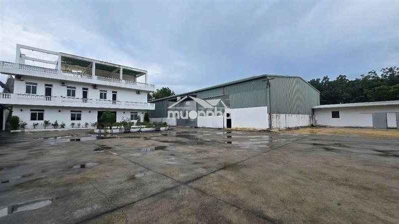 Cho thuê xưởng 1600m2.nền sơn epoxy,đầy đủ công năng.hòa lợi ,bến cát