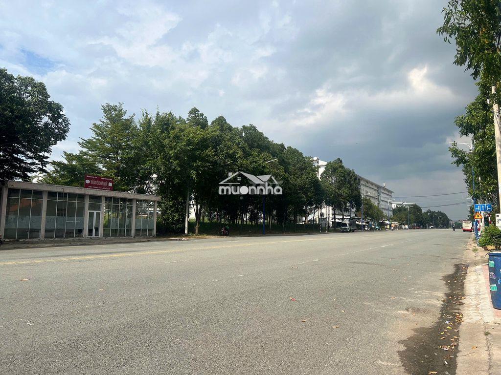 Cho thuê nhà mặt tiền 10x30m đường tc1, phường thới hòa, tphcm - 4