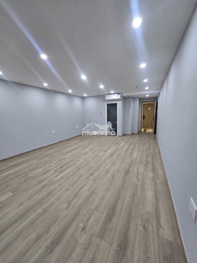 Chính chủ cho thuê căn hộ ascent lakeside q7, dt 50m2/1pn, giá 8 triệu