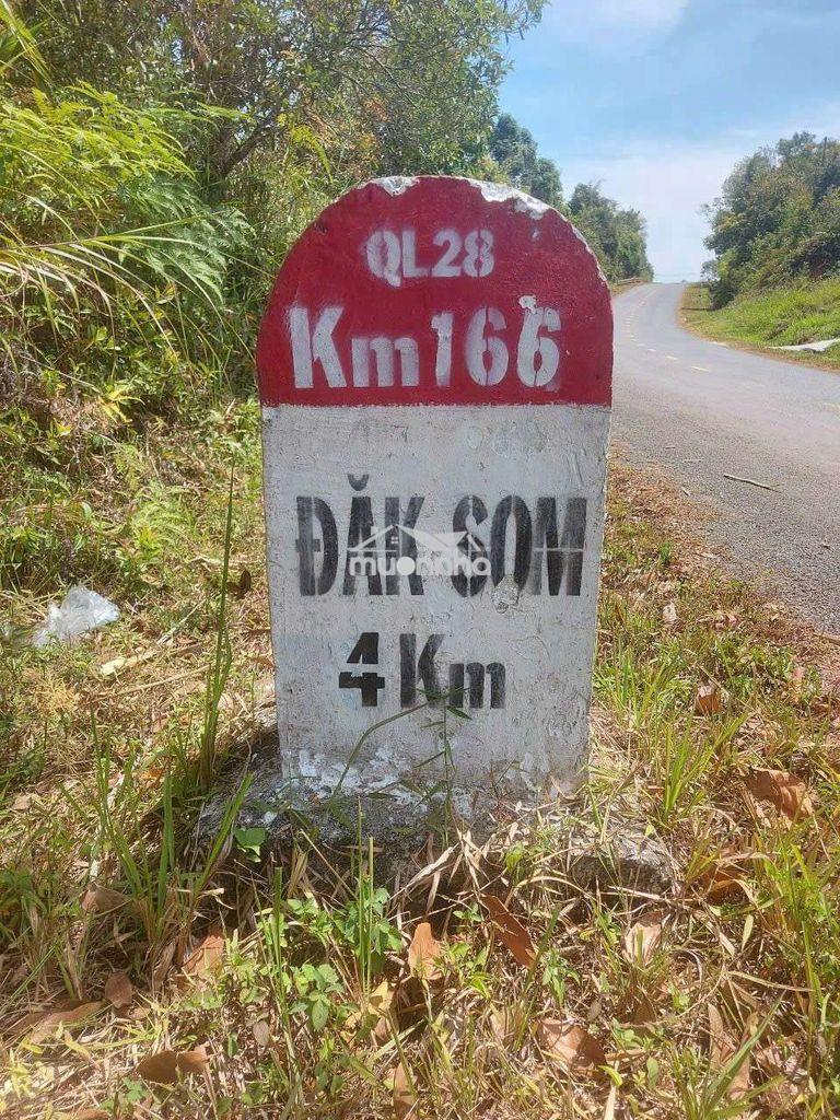 Bán đất mặt tiền quốc lộ 28, cách kdl tà đùng 5km - 3