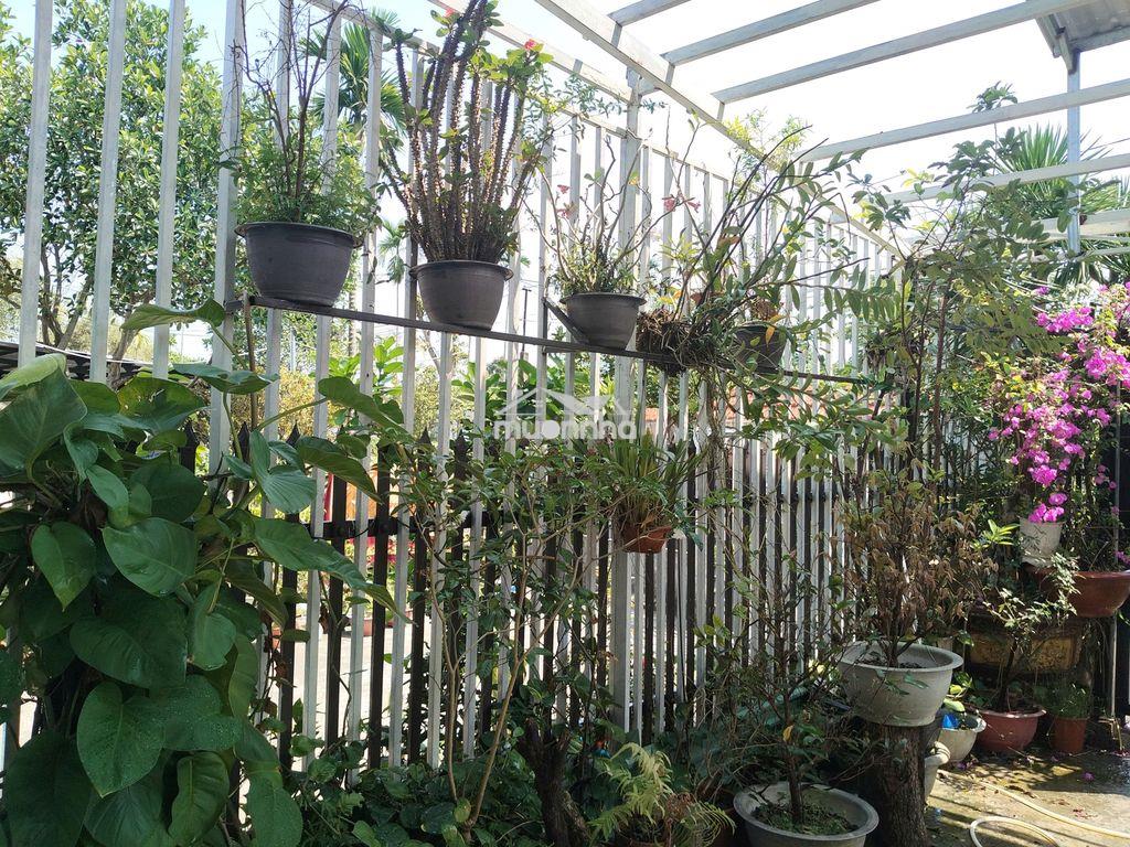 Nhà cấp 4 kiên cố ngay chợ mười giờ - 2