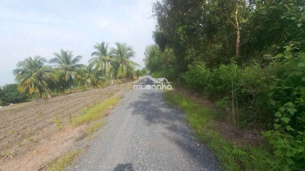 Bán 1.000 m² đất kênh 9 (võ văn kiệt) tân nhựt. giá 5,5 tỷ - 2