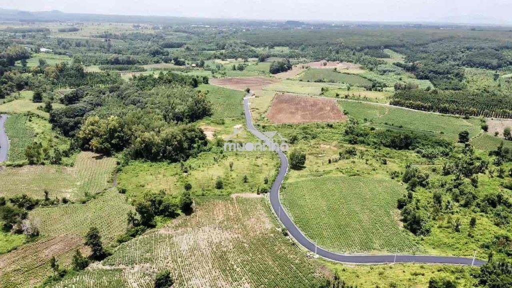 Bán gấp - giá rẻ - đất tp hcm - 2