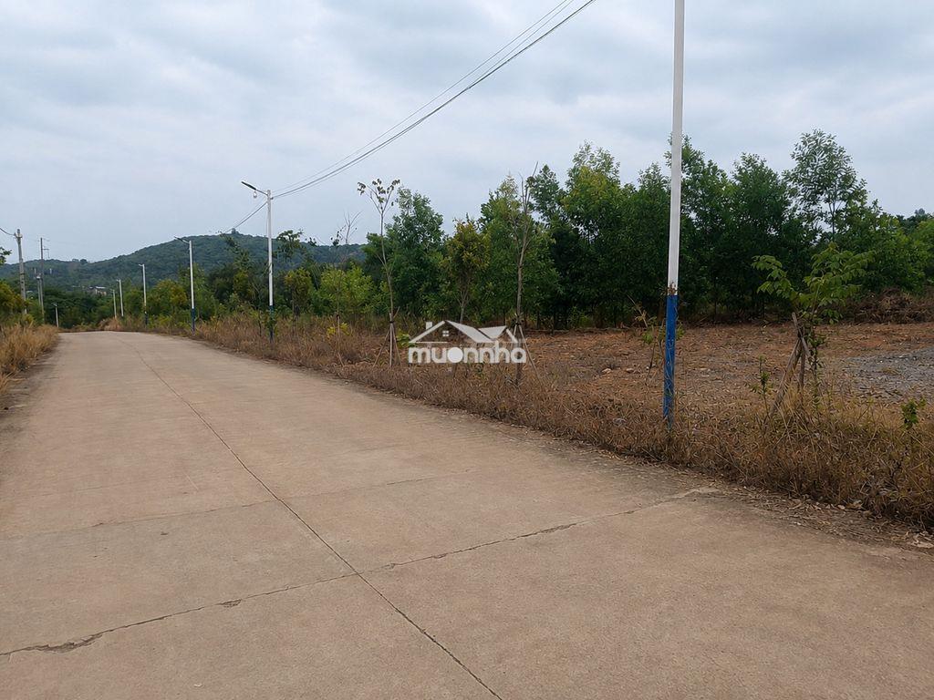 Bán gấp - định quán, đồng nai - 12 miếng nền - 1.666,7m2 - 13,5 tỷ - 3