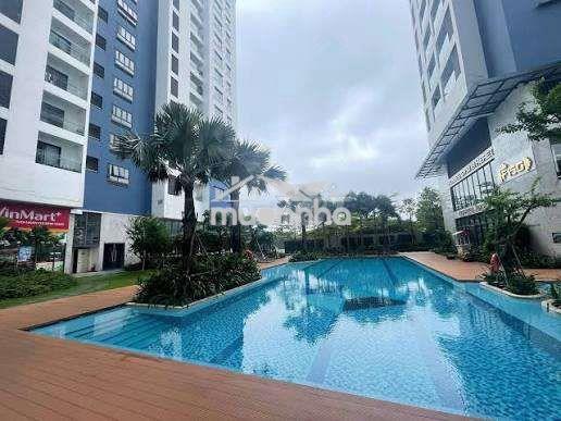 Chính chủ cho thuê căn 2pn chung cư c sky view - 4