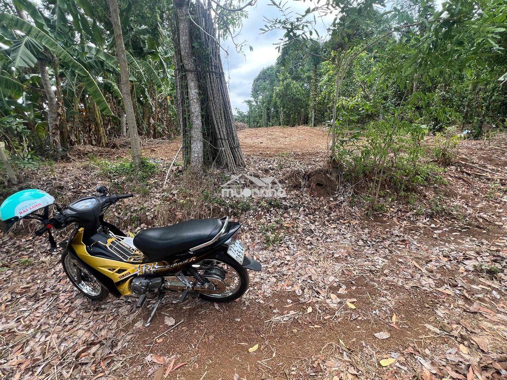 Đất sào quá rẽ ngãi giao mới - 4