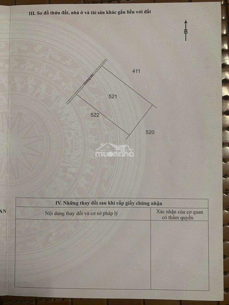 Bán 8 công đất đức hòa long an - 2