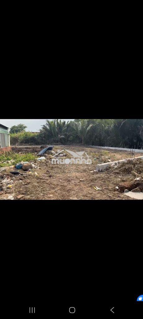 Bán 525 m2 đất trồng cây lâu năm lê văn lương , nhơn đức, nhà bè - 4