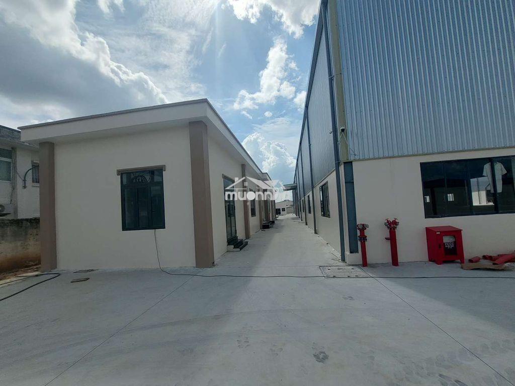 Cho thuê xưởng mới 4300m2.nằm cụm sx cn nam tân uyên,bình dương - 4
