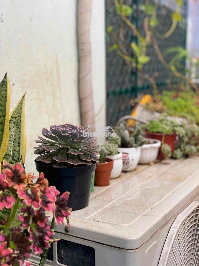 Cho thuê phòng 1 trệt 1 lầu bancol rộng- nguyễn gia trí d2 chỉ 5tr - 2