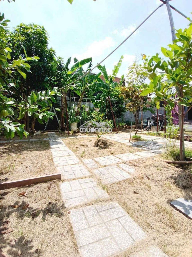 Nhà vườn phường bửu long - 4