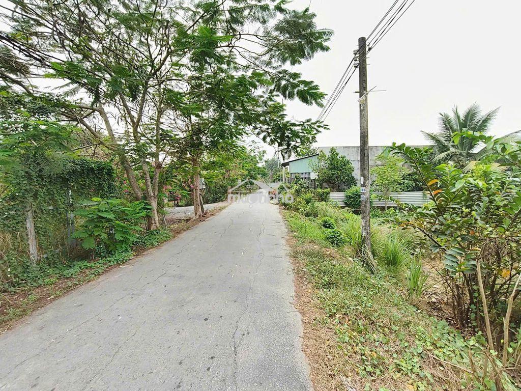 Bán đất quy đức bình chánh - 3