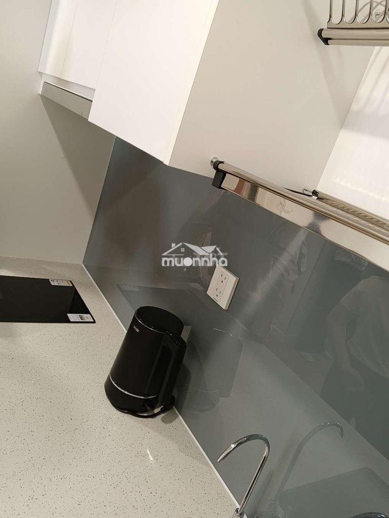 Cho thuê chdv 1pn1wc tại bcons city - 2
