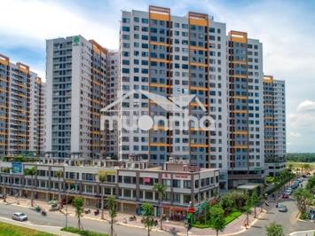Cho thuê chung cư mizuki park