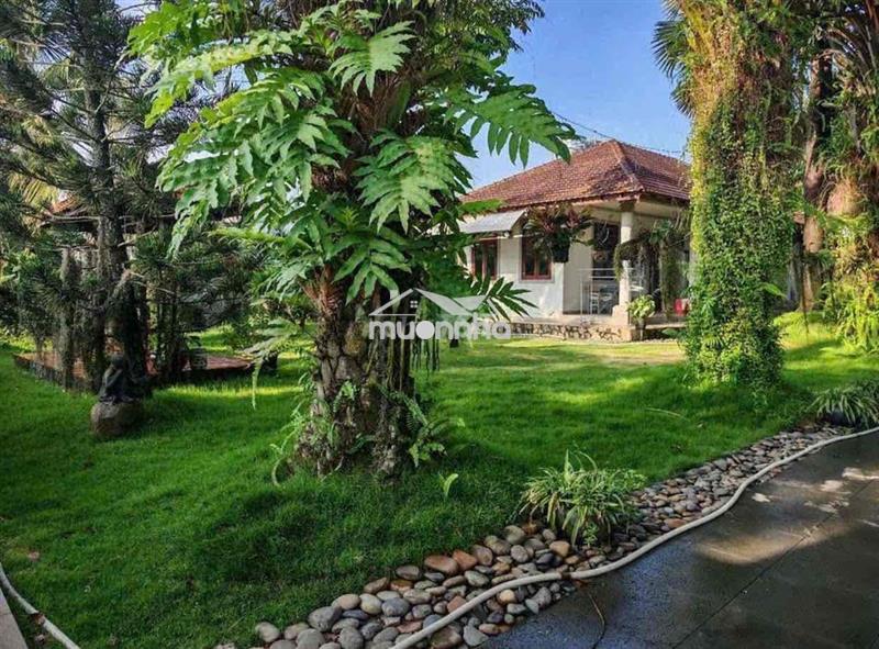 Cho thuê nhà vườn sinh thái (3pn, full nội thất)hương lộ 15, tân triều