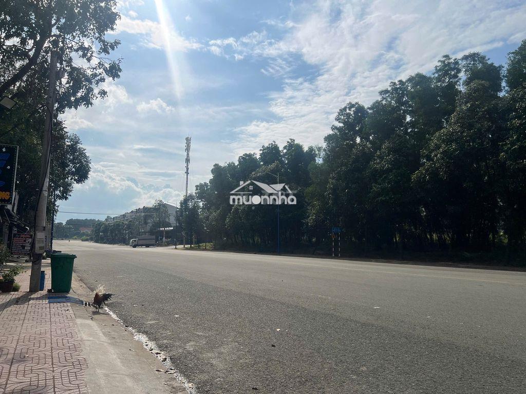 Cho thuê nhà mặt tiền 10x30m đường tc1, phường thới hòa, tphcm - 3