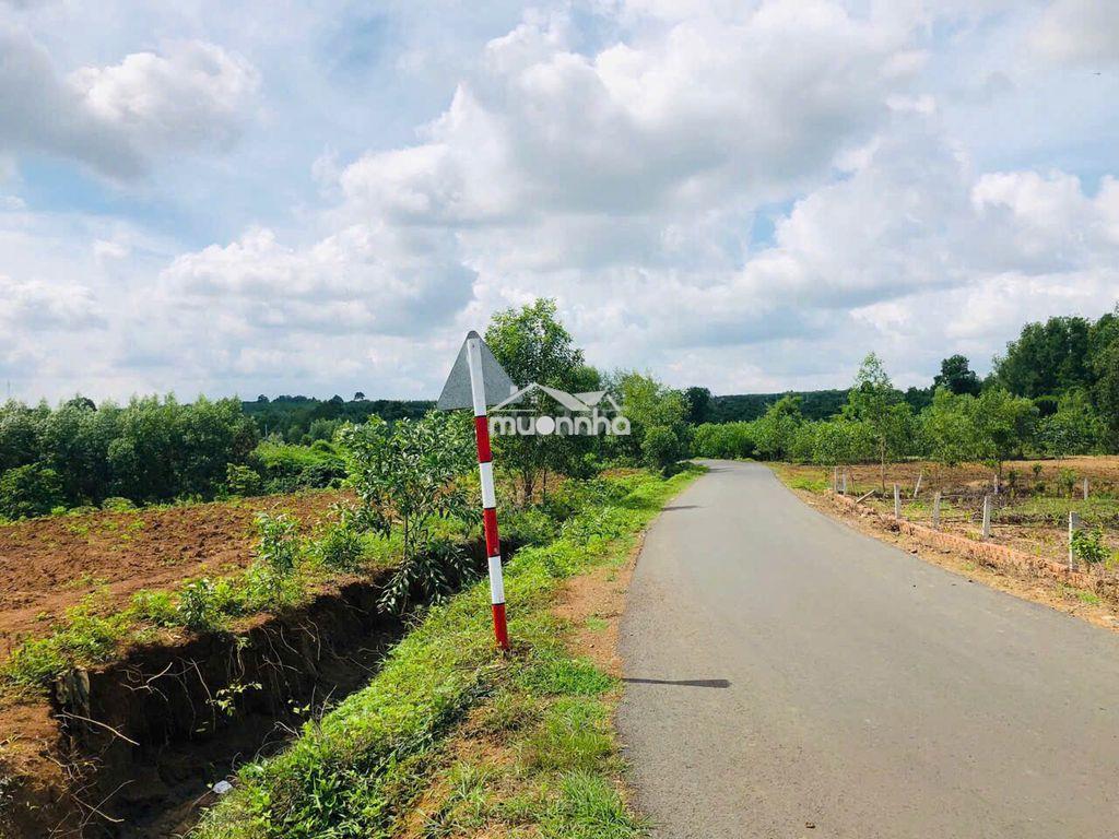8,2ha đất làm dự án nhà ở thương mại hoặc khu nghỉ dưỡng - 4