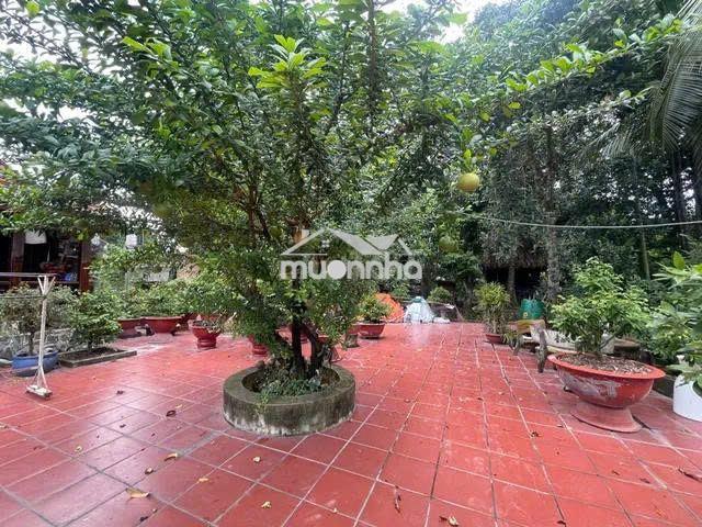 Nhà vườn 666m² hxh -tl 8 bình mỹ, củ chi –300m² thổ cư-giá 8.7 tr/m² - 3