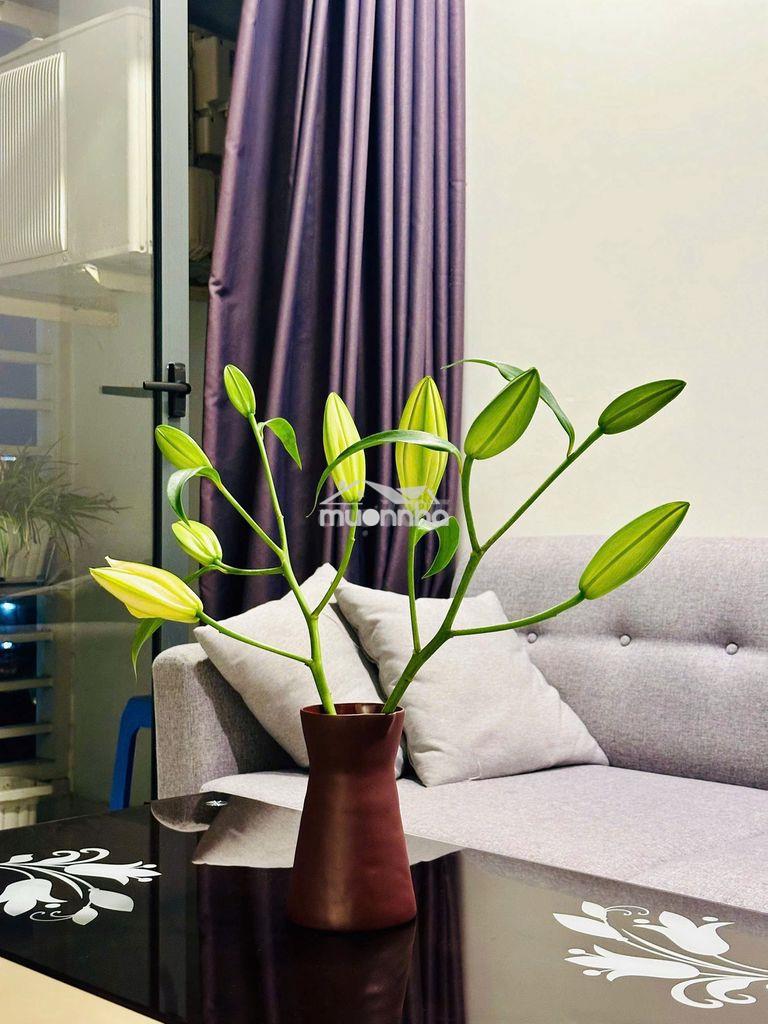 57m2, full nt, view sông sài gòn, riêng biệt, 2,5km đến trung tâm