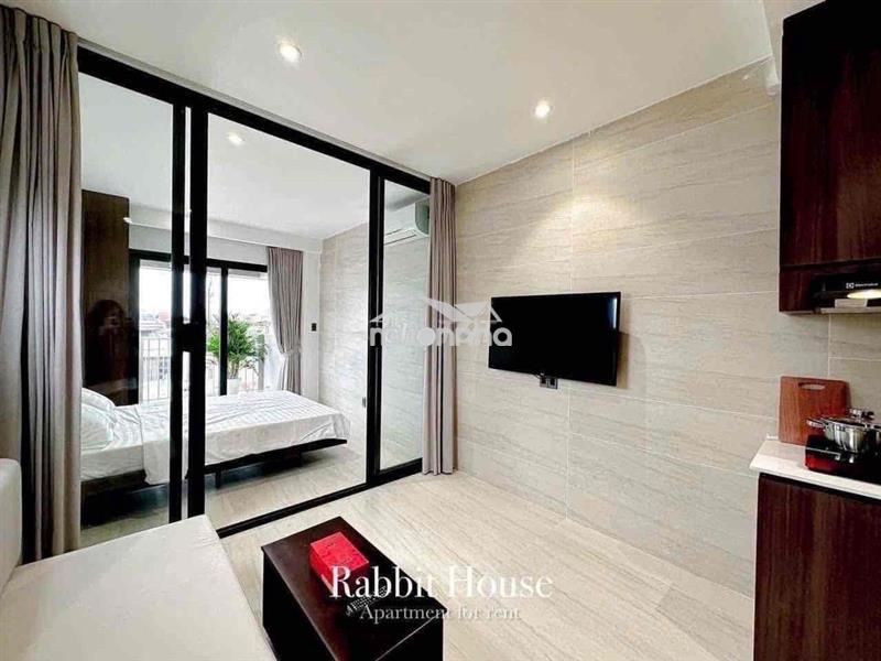 Cho thuê căn hộ 1pn ban công, đối diện tdtu, gần rmit, vivo city