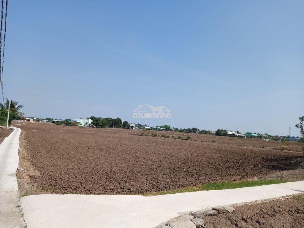 Đất sổ hồng xã vang quới tây - 2