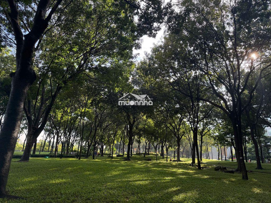 Bán nhanh căn the glen 343.5m2 celadon city có sẵn hđ thuê 60tr, 26 tỷ - 2