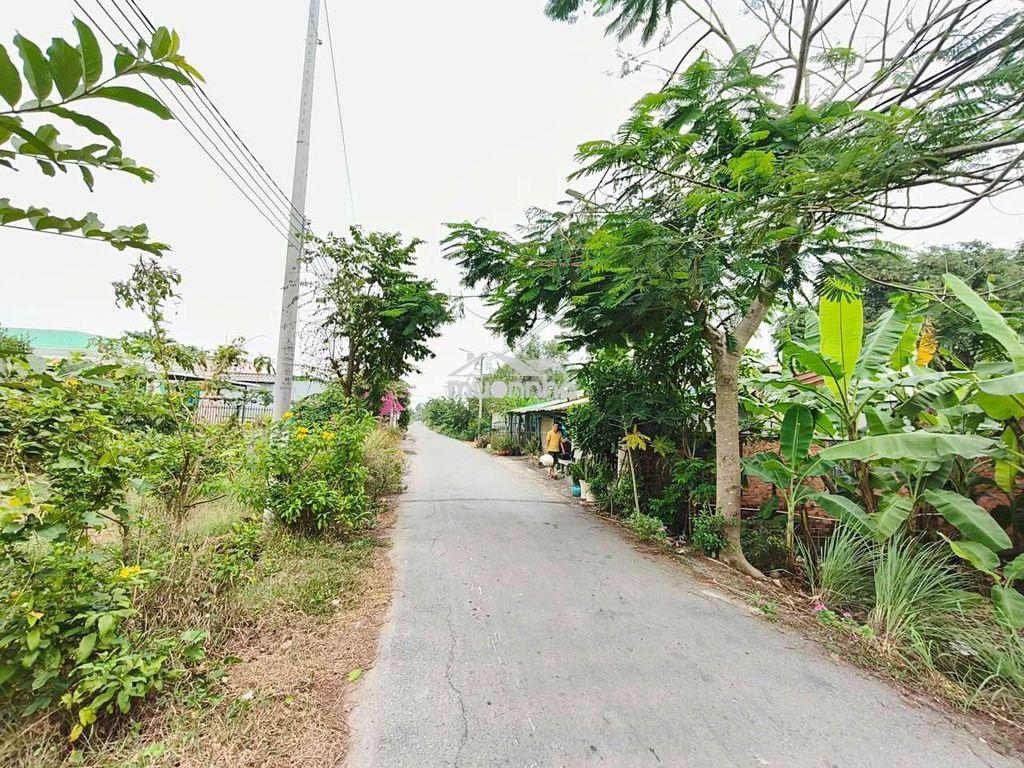 Bán đất mt đường hóc hưu, qui đức,  bình chánh. 180m² đất cln, 1,4 tỷ - Ảnh 3