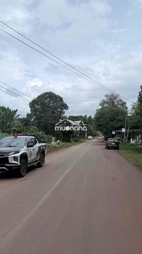 700m² mặt tiền 19/5 – đối diện rừng thông, giá chỉ 1 tỷ xxx! - 4