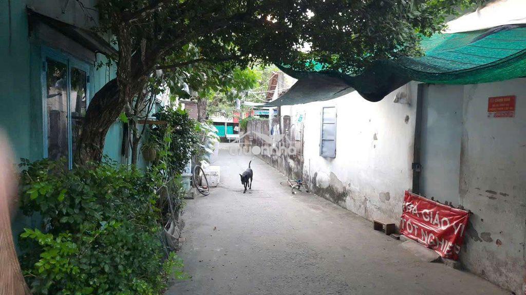 Bán nhà chính chủ xuân thới đông - 3
