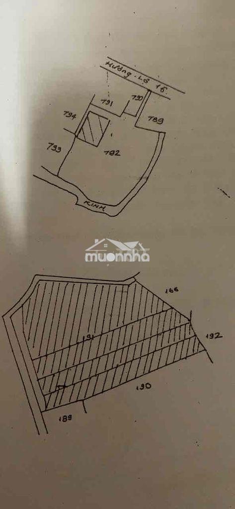 Toi càn bán nhà chính hẻm rọng thoán mát cách duòng lón 1 can - 4