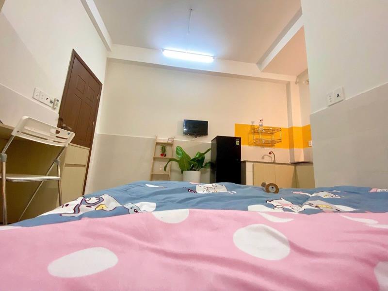 Nhà full nội thất, cửa sổ thoáng mát, được nuôi mèo mà chỉ hơn 5chẹo, gần lotte quận 7 - Ảnh 4