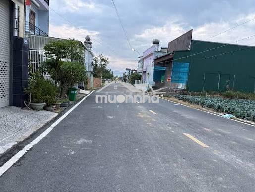 Tối muốn bán đất 14m x 40m 560m2 đất xây nhà ở củ chi. giá 1,4 tỷ. - Ảnh 2