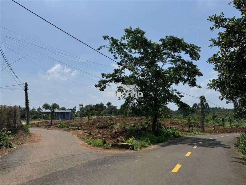 Bán nhanh lô đất nông nghiệp 6 sào  vị trí cực đẹp tại kim long , brvt